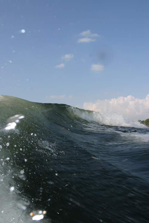 Click image for larger version

Name:	the wave.jpg
Views:	461
Size:	84.2 KB
ID:	447634