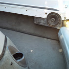 Click image for larger version

Name:	1_ANBV4ABYHSlFRr1UlEgudniifQlQCFnVVSHXKKsg=w140-h140-p.jpeg
Views:	332
Size:	6.7 KB
ID:	450467