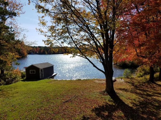 Click image for larger version

Name:	171021 Foliage at Lake.jpg
Views:	66
Size:	106.3 KB
ID:	541255