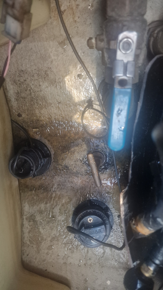 Click image for larger version

Name:	20250625_174342.jpg
Views:	96
Size:	277.1 KB
ID:	685718