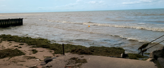 Click image for larger version  Name:	image.png Views:	0 Size:	311.6 KB ID:	686080