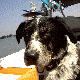 Click image for larger version

Name:	boat__blu_and_daisy_013_80x80.gif
Views:	632
Size:	7.0 KB
ID:	356032