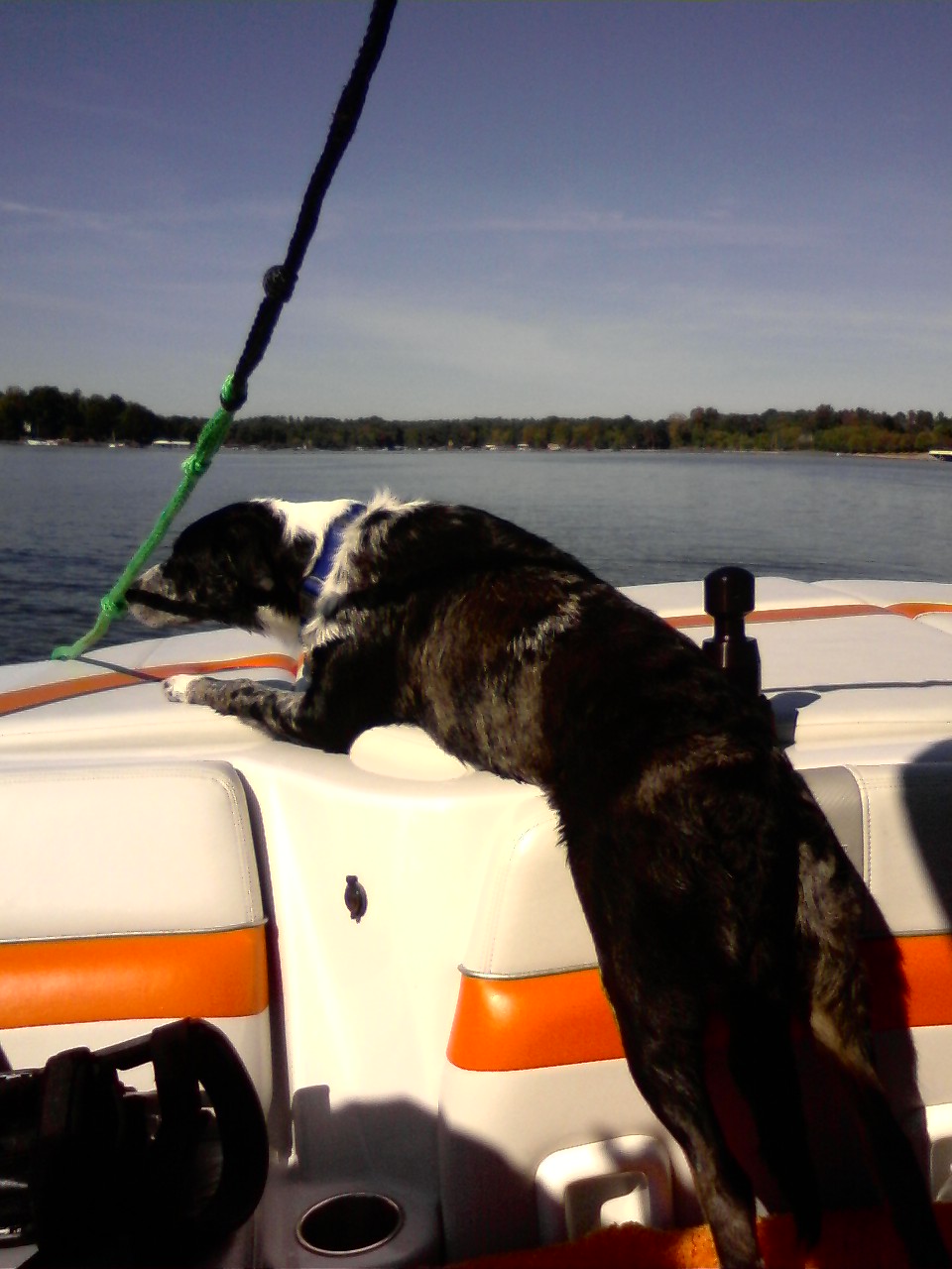 Click image for larger version

Name:	boat__blu_and_daisy_009.jpg
Views:	667
Size:	185.4 KB
ID:	356069