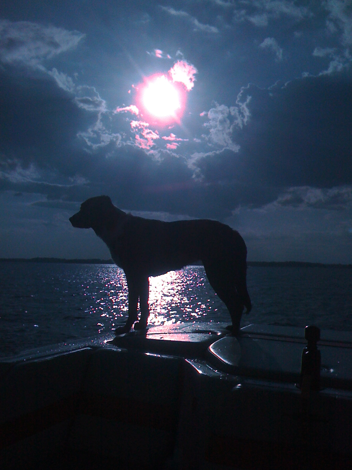 Click image for larger version

Name:	crazy_daisy_012.jpg
Views:	521
Size:	537.7 KB
ID:	357200