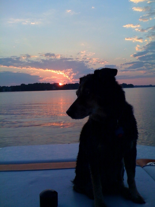Click image for larger version

Name:	crazy_daisy_022.jpg
Views:	524
Size:	95.9 KB
ID:	357201