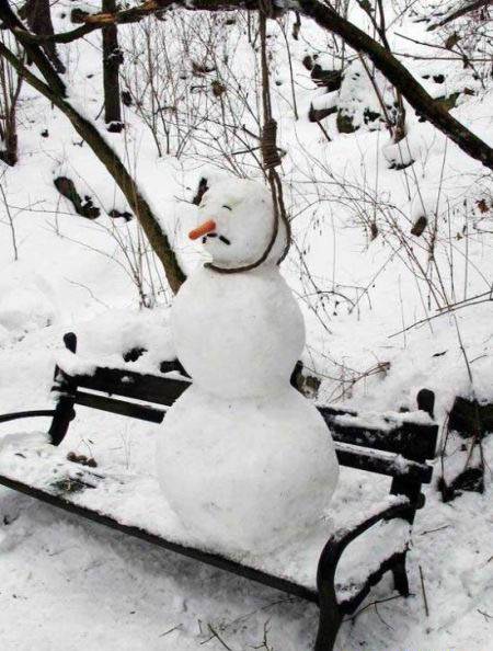 Click image for larger version

Name:	too much snow..jpg
Views:	181
Size:	54.6 KB
ID:	359461