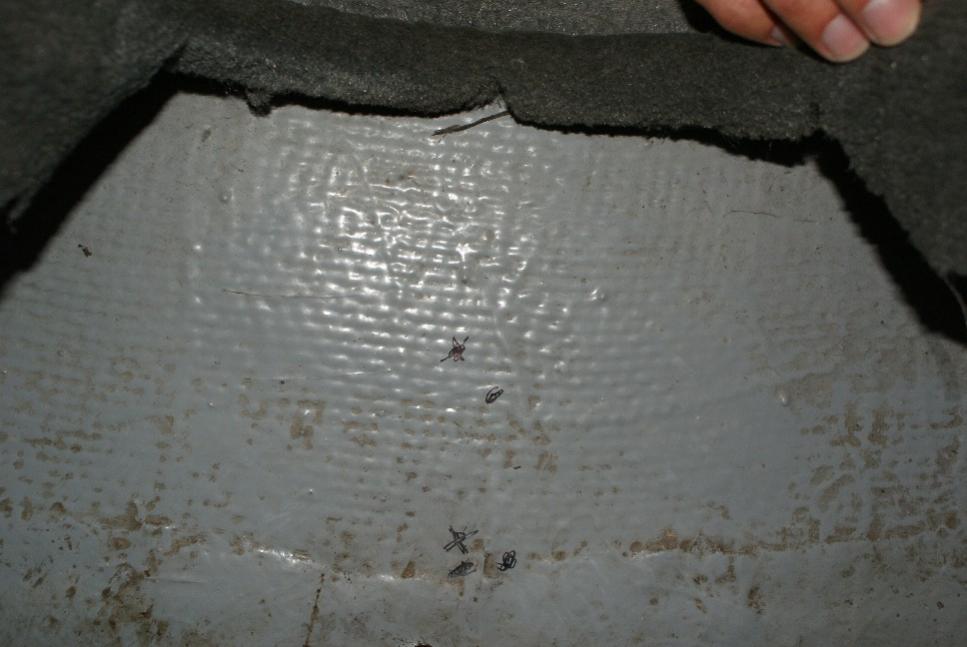 Click image for larger version

Name:	Ski locker wall before.jpg
Views:	1193
Size:	62.9 KB
ID:	360073