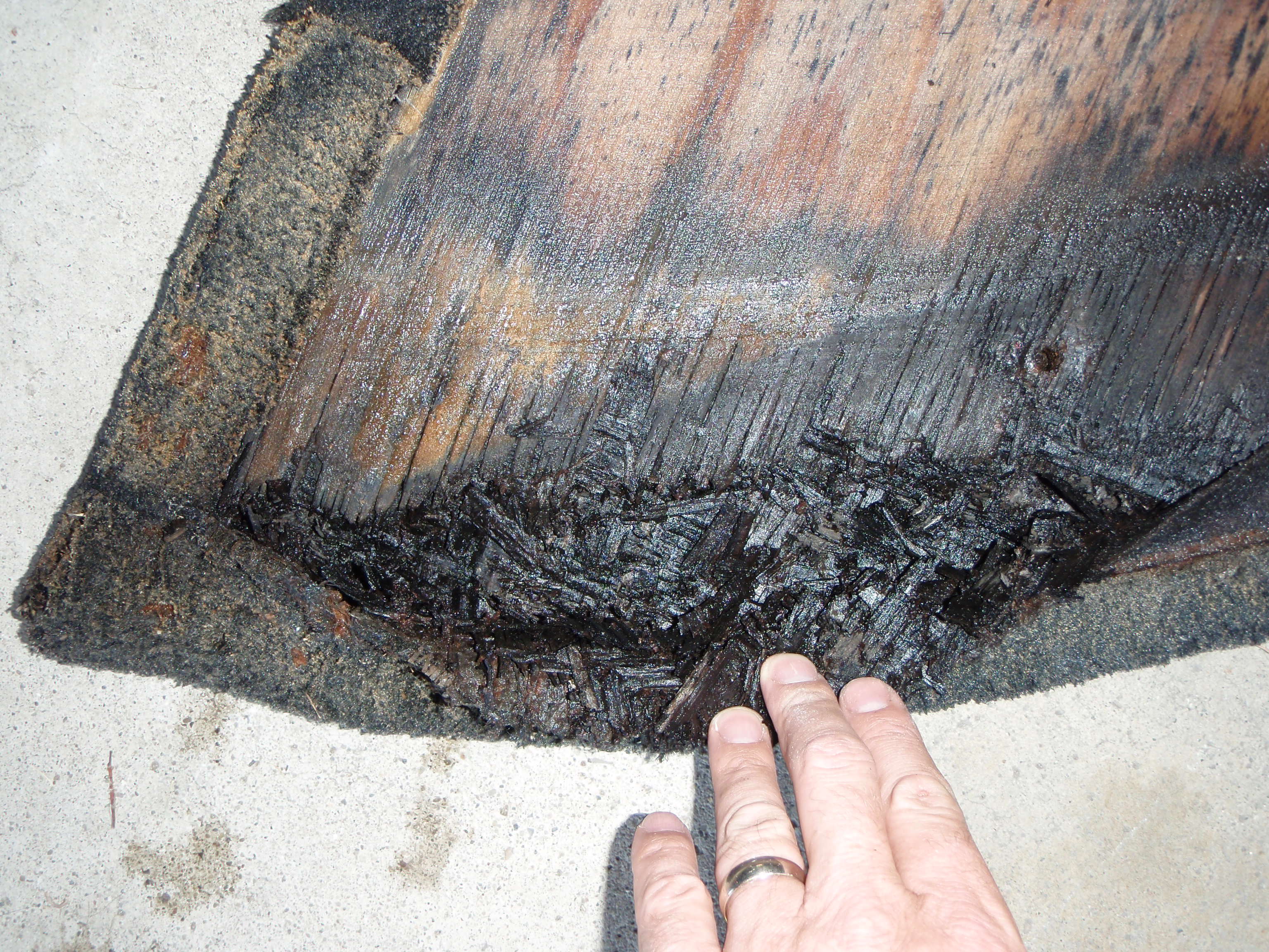 Click image for larger version

Name:	p8310232.jpg
Views:	1989
Size:	1.30 MB
ID:	370155