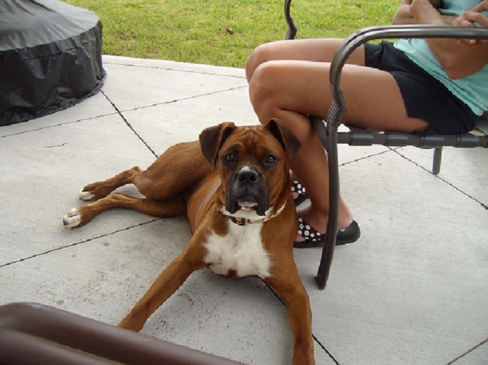 Click image for larger version

Name:	roxy.jpg
Views:	340
Size:	146.2 KB
ID:	370930