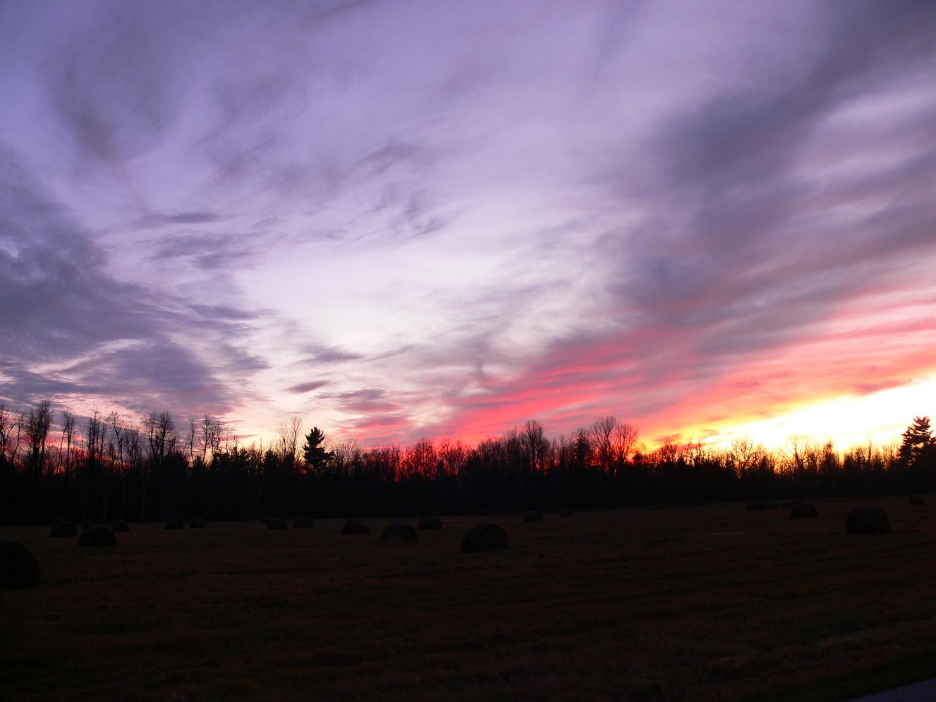 Click image for larger version

Name:	lumix 280..jpg
Views:	268
Size:	87.7 KB
ID:	372134