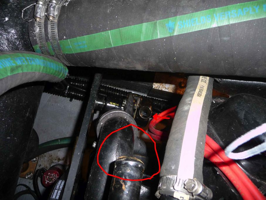 Click image for larger version

Name:	hoses and pump.jpg
Views:	358
Size:	96.4 KB
ID:	375001