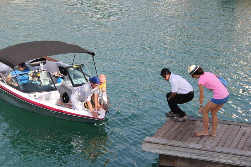 Click image for larger version

Name:	boat 1.jpg
Views:	499
Size:	90.3 KB
ID:	376429