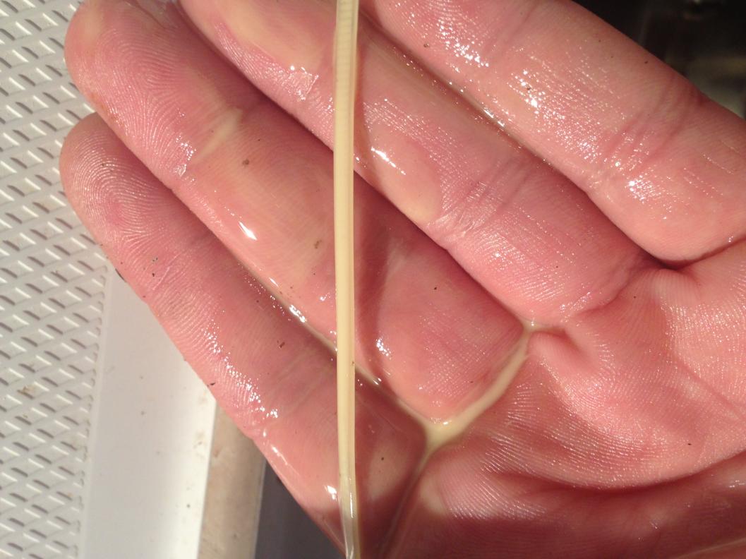 Click image for larger version

Name:	photo.jpg
Views:	206
Size:	90.3 KB
ID:	379227