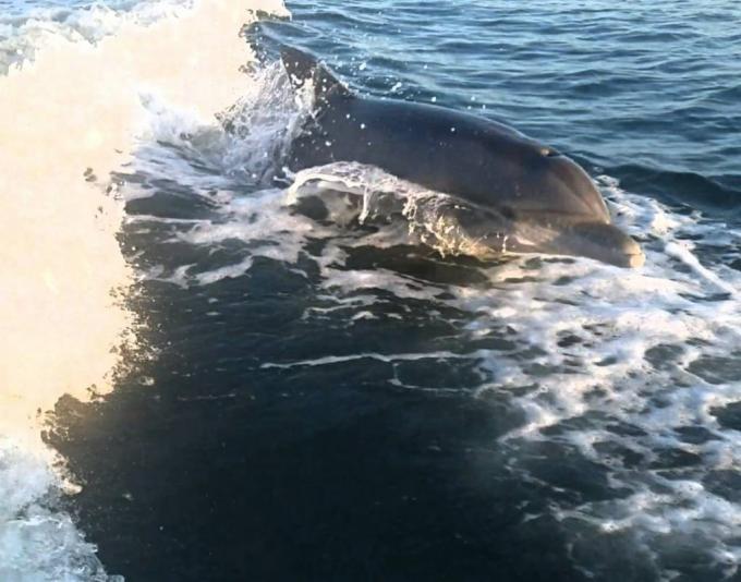 Click image for larger version

Name:	ImageUploadedByTapatalk1505873498.2361.jpg
Views:	170
Size:	51.2 KB
ID:	538587