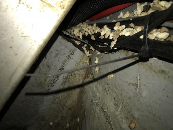 Click image for larger version

Name:	bilge.jpg
Views:	166
Size:	42.5 KB
ID:	548455