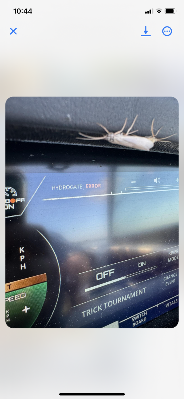 Click image for larger version

Name:	IMG_9498.png
Views:	202
Size:	918.4 KB
ID:	679484