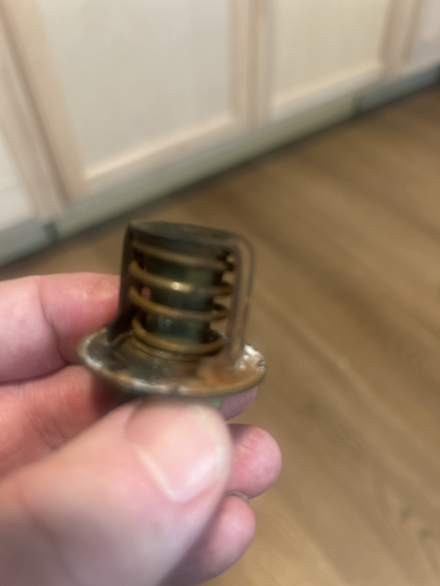 Click image for larger version

Name:	20250730_193724371_iOS.jpg
Views:	47
Size:	95.7 KB
ID:	686370